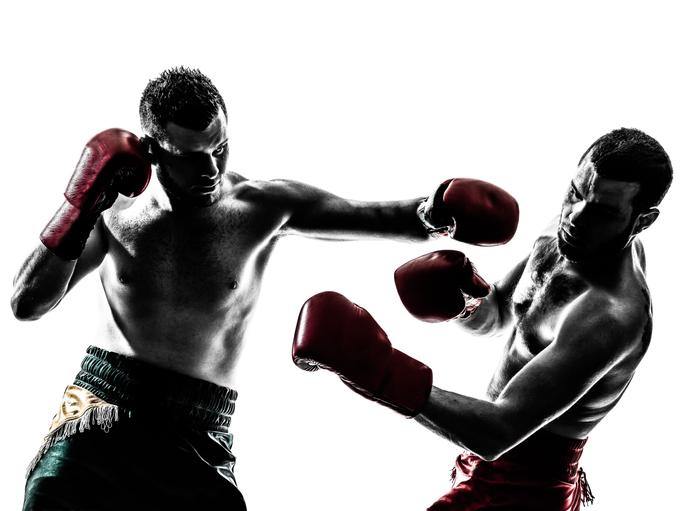 How to Boost Performance and Recovery using CBD - Pro Boxers use! - No1 CBD