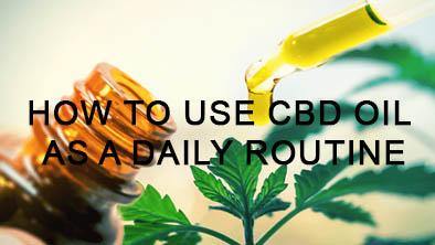 How to use CBD oil as a daily routine - No1 CBD