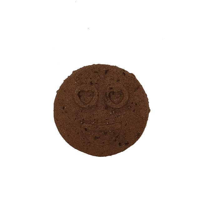Hemp & Chocolate Cookies With CBD 100mg - No1 CBD